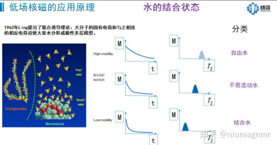 低场核磁的三个峰的物理含义